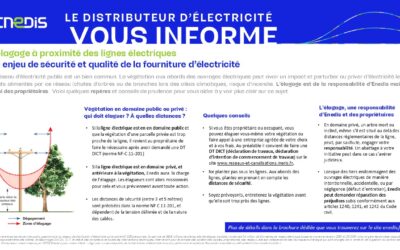Enedis : L’élagage à proximité des lignes électriques